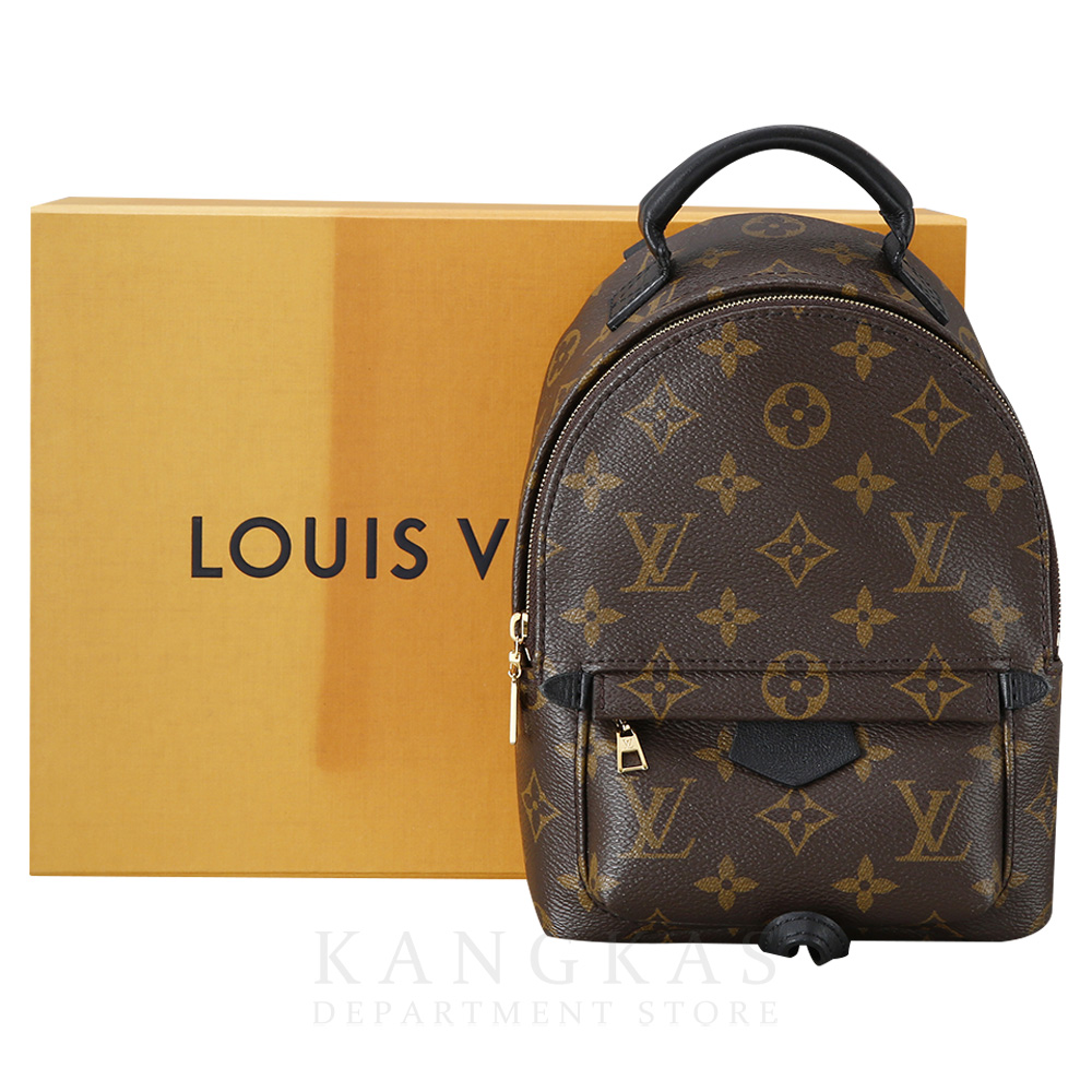 LOUIS VUITTON(USED)루이비통 팜 스프링스 미니 백팩